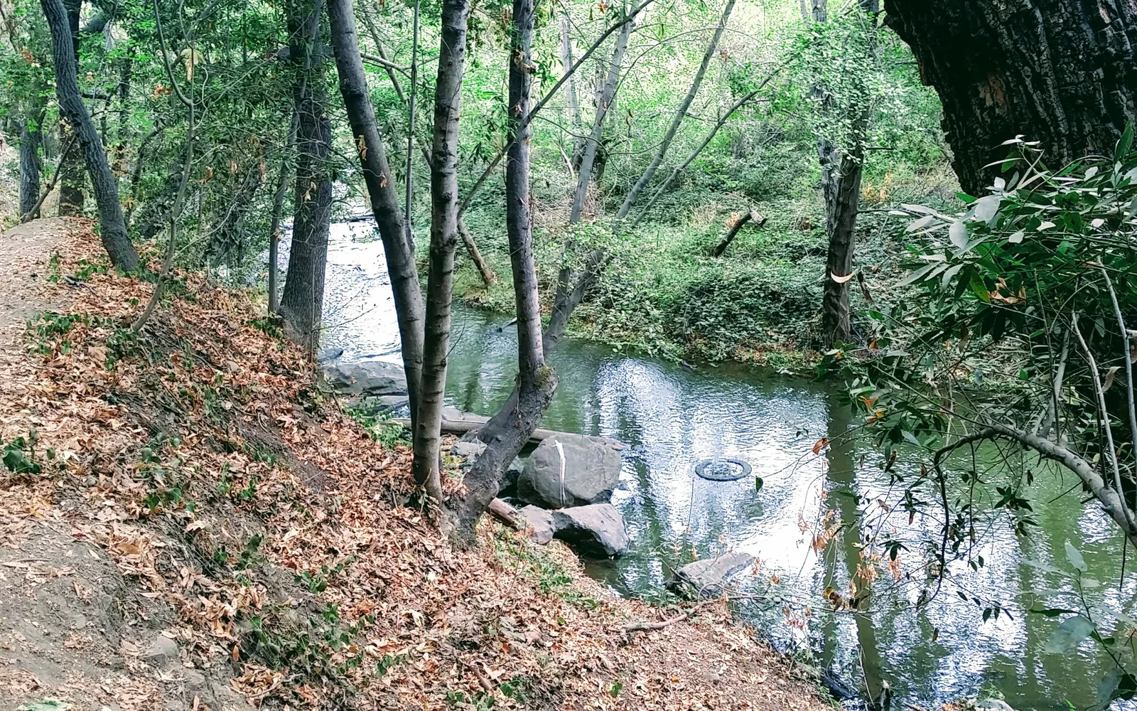 Los Gatos Creek Trail, a community recreational trail in Santa Clara County near Campbell